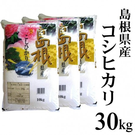 送料無料【在庫処分特価】令和2年産 島根県産コシヒカリ30kg（10kg×3）　※