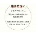 【送料無料】仙崎海産 あかもくスープ カップ 20個入り 【常温保存可能】 山口県産天然アカモク使用 1食11kcal 低カロリー 健康 美容 ダイエット フコイダン ミネラル ぎばさ スープ　※