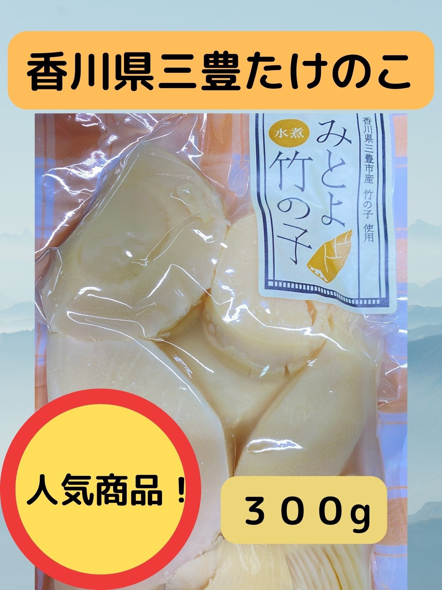 使い切り♪香川県産 たけのこ水煮300g 国産 ※ - YEG-mall