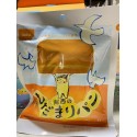 もしもの時に！備蓄・長期保存食・１箱たっぷり2人2日分　※