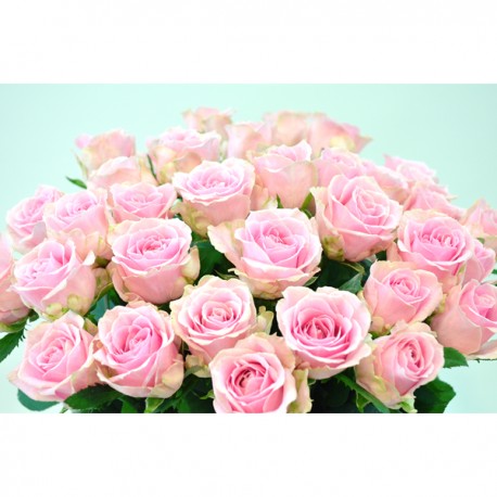 品種おまかせ　ピンクのバラの花束　10本3,000円から