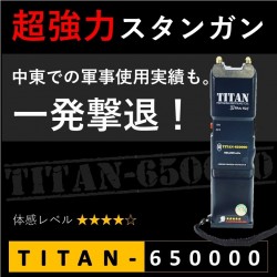 スタンガン TITAN-650000 タイタン 軍事使用実績 フルパワー【送料無料】