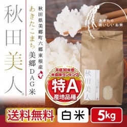 あきたこまち美郷DAG米「秋田美人」 白米 5kg 特A 一等米 常温定湿乾燥 秋田県産  減農薬 出荷当日精米 送料無料　※