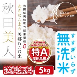 あきたこまち美郷DAG米「秋田美人」 無洗米 5kg 特A 一等米 常温定湿乾燥 秋田県産  減農薬 出荷当日精米 送料無料　※