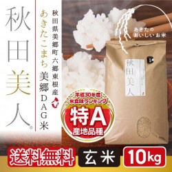 あきたこまち美郷DAG米「秋田美人」 玄米 10kg 特A 一等米 常温定湿乾燥 秋田県産  減農薬 送料無料　※