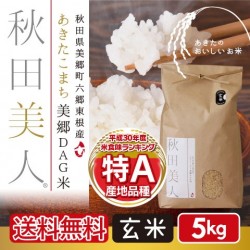 あきたこまち美郷DAG米「秋田美人」 玄米 5kg 特A 一等米 常温定湿乾燥 秋田県産  減農薬 送料無料　※