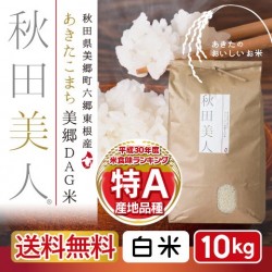 あきたこまち美郷DAG米「秋田美人」 白米 10kg 特A 一等米 常温定湿乾燥 秋田県産  減農薬 出荷当日精米 送料無料　※