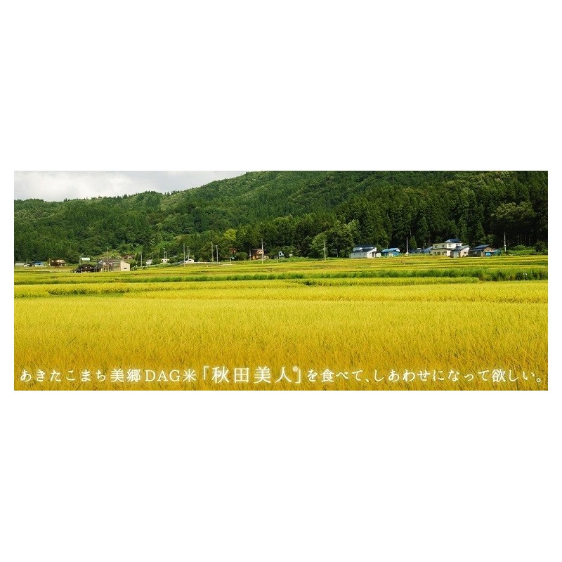 あきたこまち美郷DAG米「秋田美人」 白米 10kg 特A 一等米 常温 あきたこまち美郷DAG米「秋田美人」 白米 10kg 特A 一等米 常温