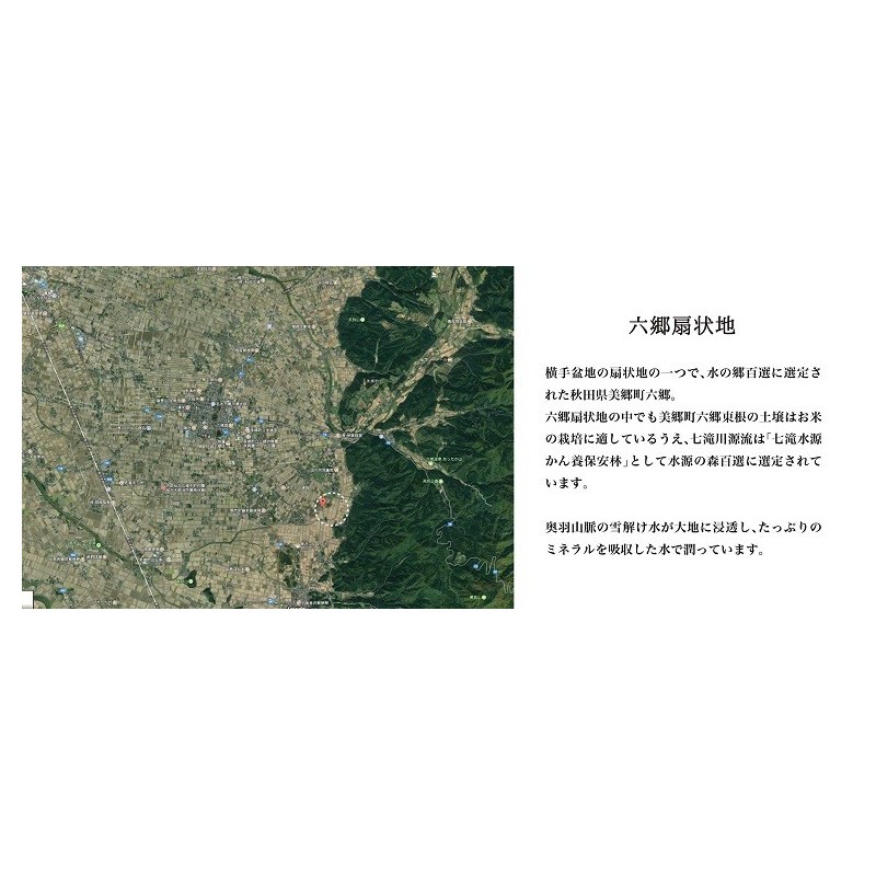 あきたこまち美郷DAG米「秋田美人」 白米 10kg 特A 一等米 常温 あきたこまち美郷DAG米「秋田美人」 白米 10kg 特A 一等米 常温