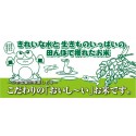 あきたこまち「ゆうこちゃんのお米」 令和元年新米 白米 3kg 特別栽培米 単一農家米R-100 水田環境特A 秋田県産