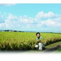 あきたこまち「ゆうこちゃんのお米」令和元年新米 白米 900ｇ×5本セット 特別栽培米 単一農家米 特Ａ　※