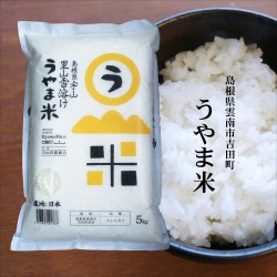 令和3年産 吉田町『うやま米』コシヒカリ5kg 島根県雲南市吉田町宇山産 -明治26年創業 藤本米穀店-　※