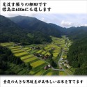 【送料無料】令和3年産 仁多米『大峠源流米』白米2kg  ～西の横綱・仁多米でトップクラスの標高600m級～ -明治26年創業 藤本米穀店-　※