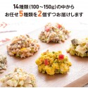 【送料無料・お一人様１回限り】手作りごはんお試しセット