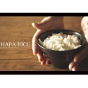 HAPARICE　白米・玄米ブレンド2㎏ ※