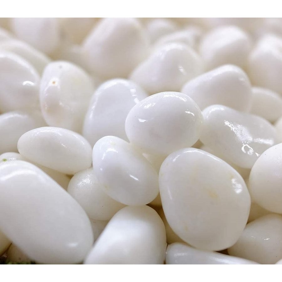 ホンインロウ - 桐箱屋さん 今井白洞作1.5尺幅立 七字題目