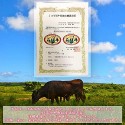 沖縄県産和牛　石垣牛　ハンバーグ　100ｇ × 10個 ※
